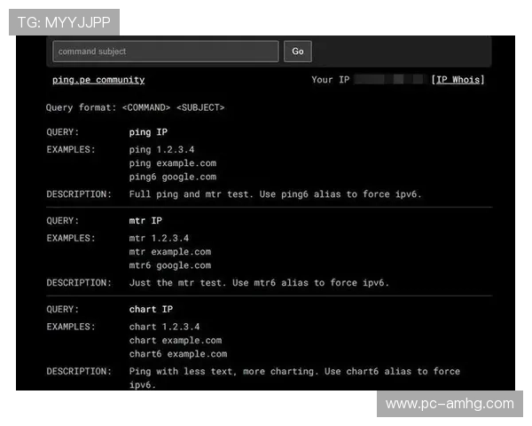 快速获取手机皇冠登陆ip地址的实用步骤与注意事项全面解析 快速获取手机皇冠登陆ip地址的实用步骤与注意事项全面解析