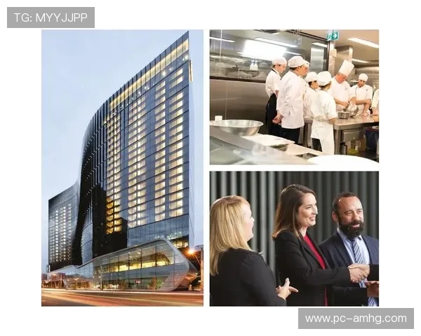 澳门皇冠地址登录入口官方平台，便捷安全的在线登录体验推荐