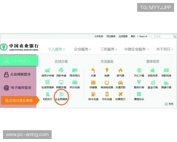 皇冠信用盘哪里开户流程详解，步骤清晰助你顺利完成开户