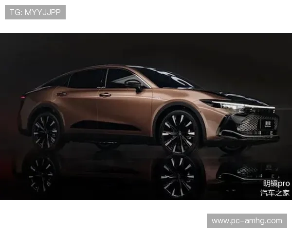 皇冠新二手机登录地址官方入口，提供最全面的登录指南与安全保障措施