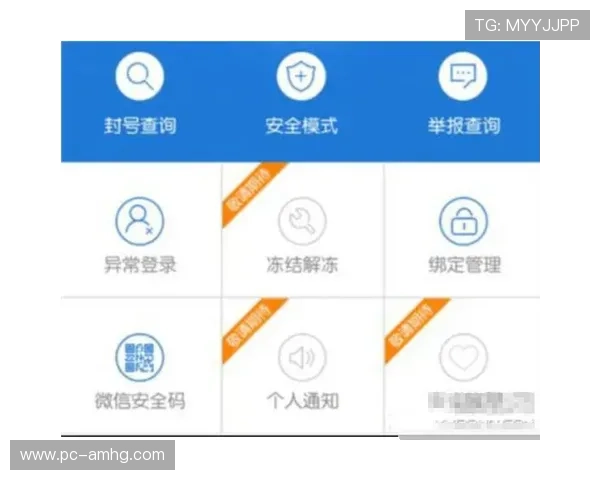 新2会员网安全保障措施全面介绍保障玩家账号安全