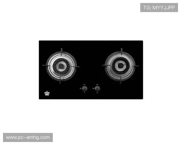 hg皇冠官方登录平台品牌介绍与发展历程，了解行业龙头的专业实力