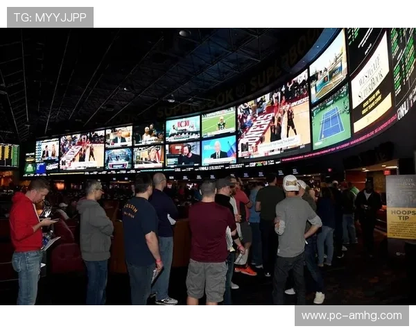 皇冠博彩网站如何提供多元化的游戏选择满足不同玩家需求