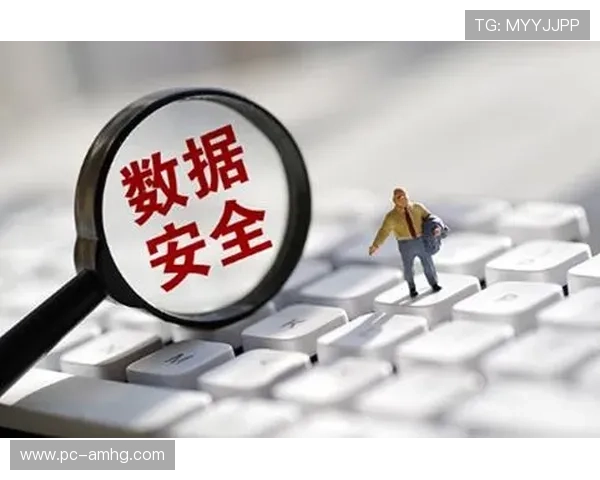 澳门真人中国官网安全保障措施，确保每一位玩家的资金与个人信息安全